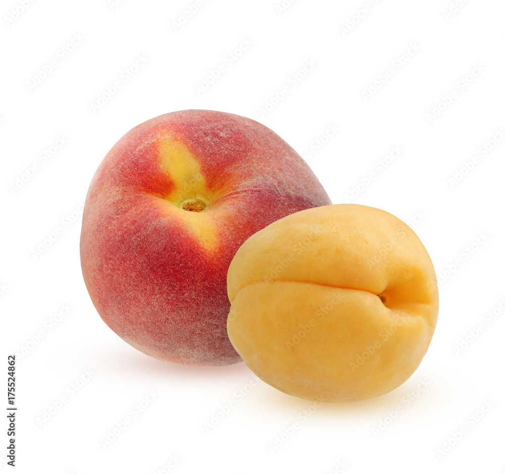 Peach and apricot isolated on a white background. Peach and apricot isolated on a white background.