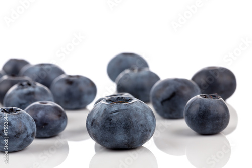 blueberries isolated close up