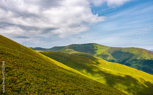 gorgeous green rolling hill in summer. beautiful view of grassy mountain slopes under cloudy sky