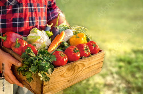 Farmer holding box with fresh vegetables
