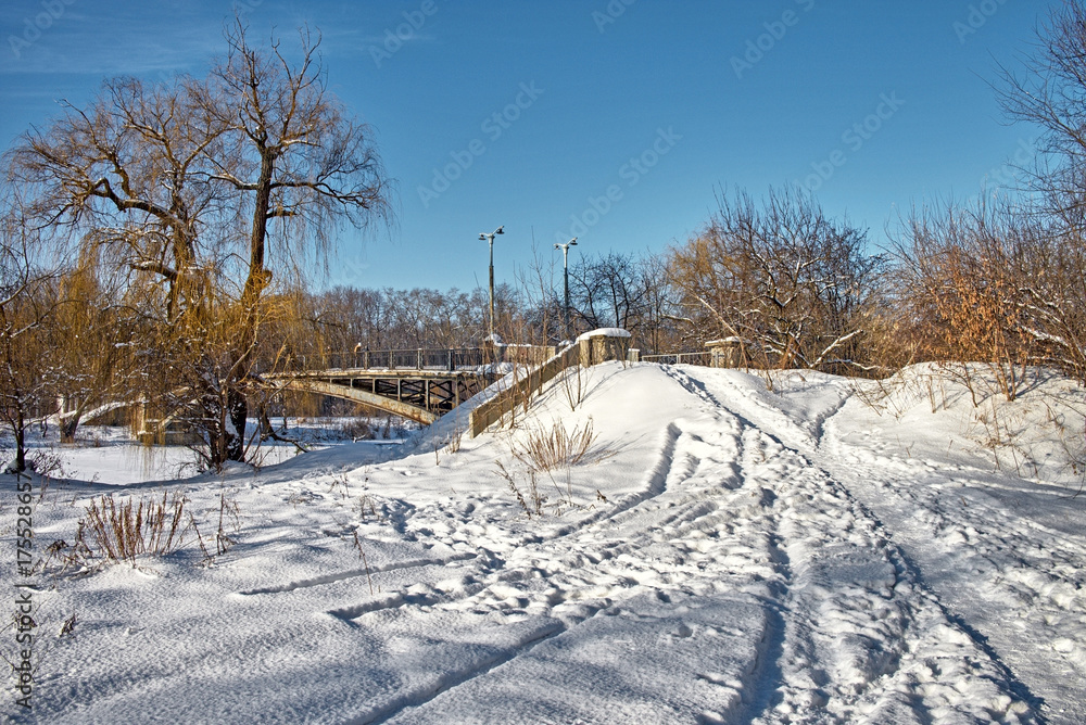 Beautiful winter landscape. Trees and snow on the blue sky background. Frosty day, The sun shines brightly Beautiful winter landscape. Trees and snow on the blue sky background. Frosty day, The sun shines brightly