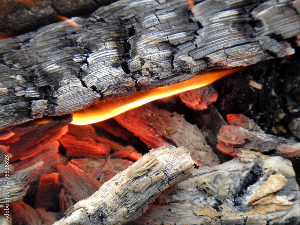 Three things you can watch forever, one of them - the fire Three things you can watch forever, one of them - the fire