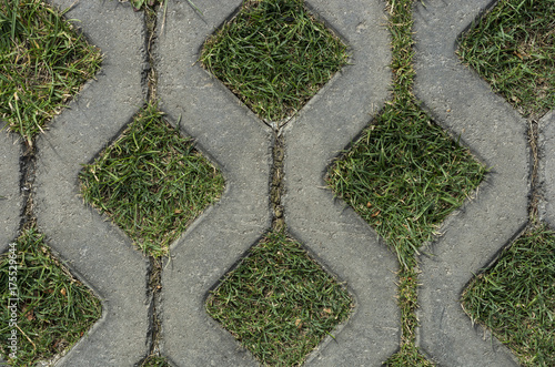 Background of gray paving with green grass