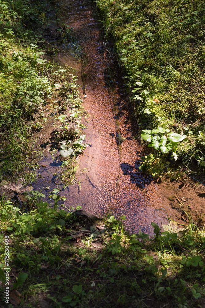 Stream Stream
