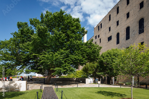 Photography Survivor Tree 2 - Oklahoma City Bombing Memorial