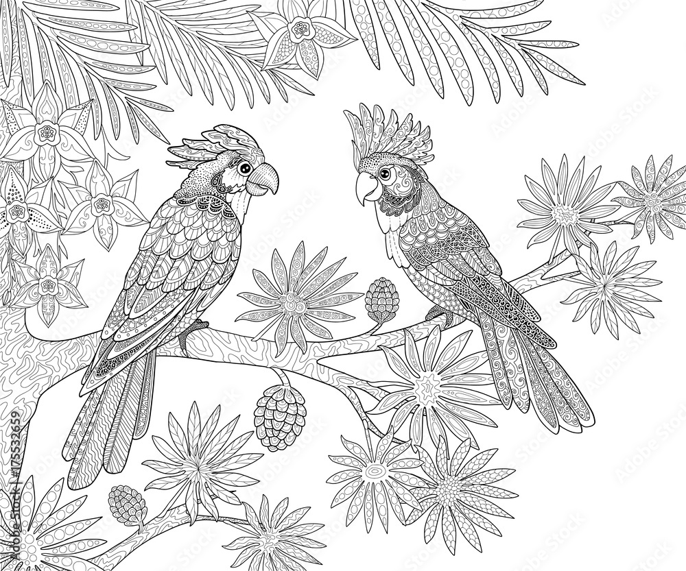 Naklejka premium Couple of parrots sitting in the jungle on a palm tree page for adults coloring book in doodle style.