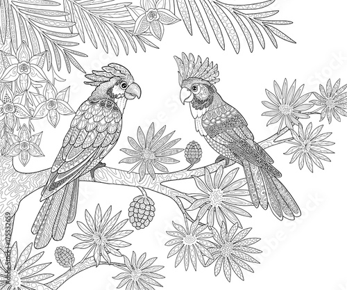 Wallpaper Mural Couple of parrots sitting in the jungle on a palm tree page for adults coloring book in doodle style. Torontodigital.ca