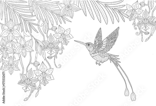 Orchid flowers and hummingbird and palm leaves in the jungle page for adult coloring book in doodle style.