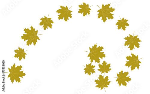 Autumn leaves golden ratio, vector