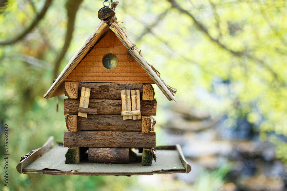 Bird feeder, house for birds in the park, close up Bird feeder, house for birds in the park, close up