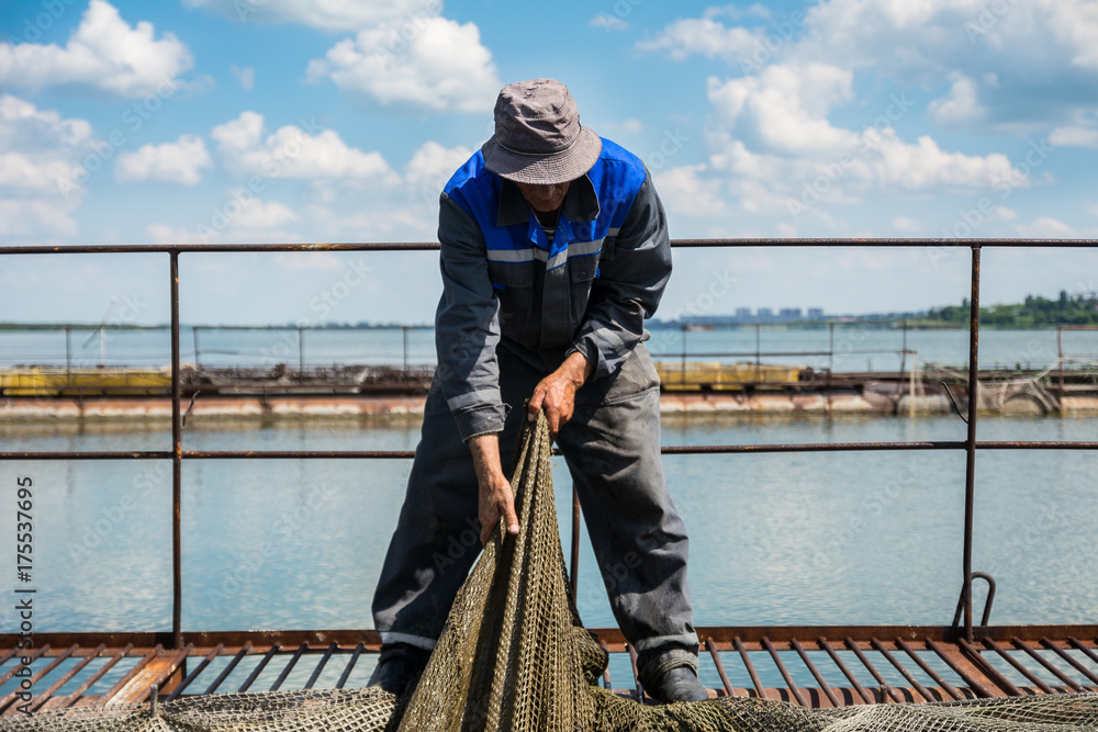 The fisherman with the net is catching fish The fisherman with the net is catching fish