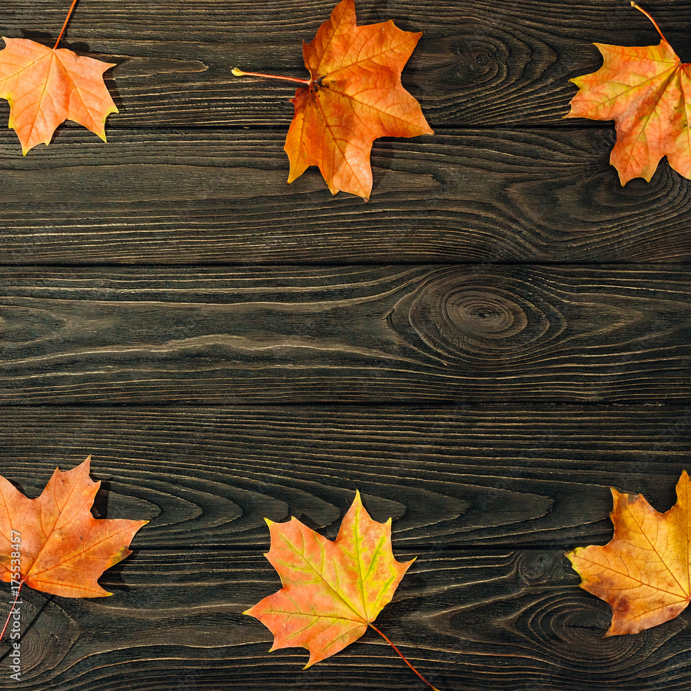 Obraz premium Wooden surface with maple leaves