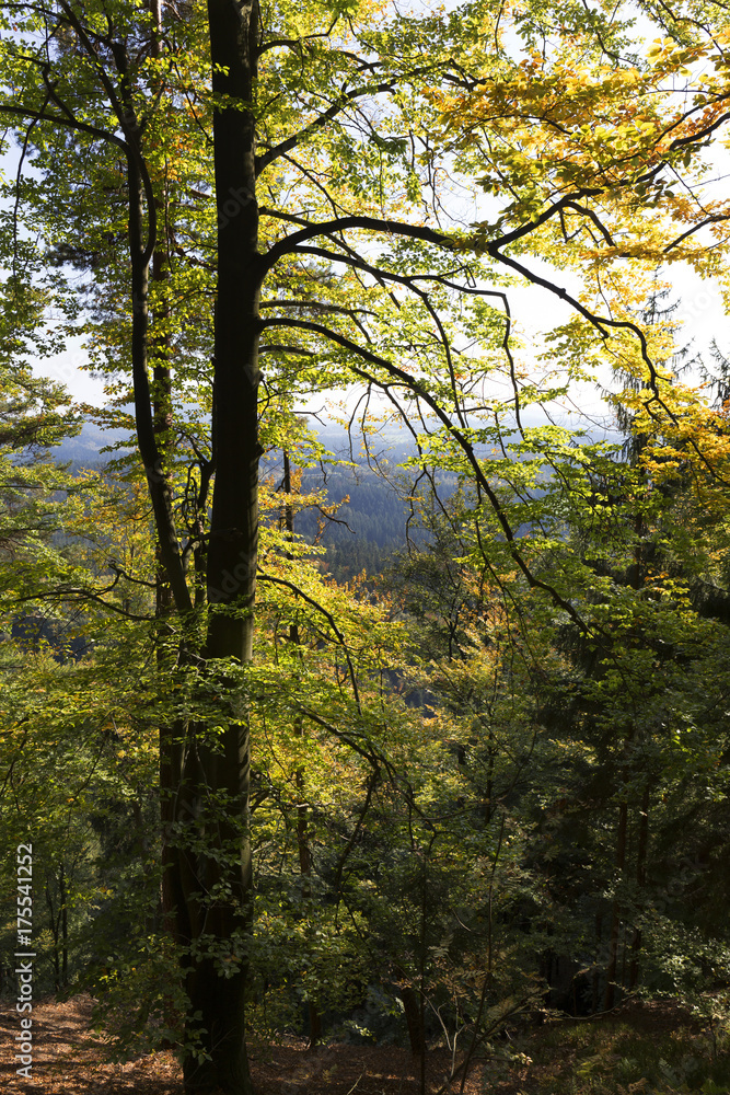 Autumn Landscape in the Czech Switzerland, Czech Republic
