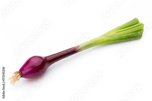 Green onion isolated on the white background.