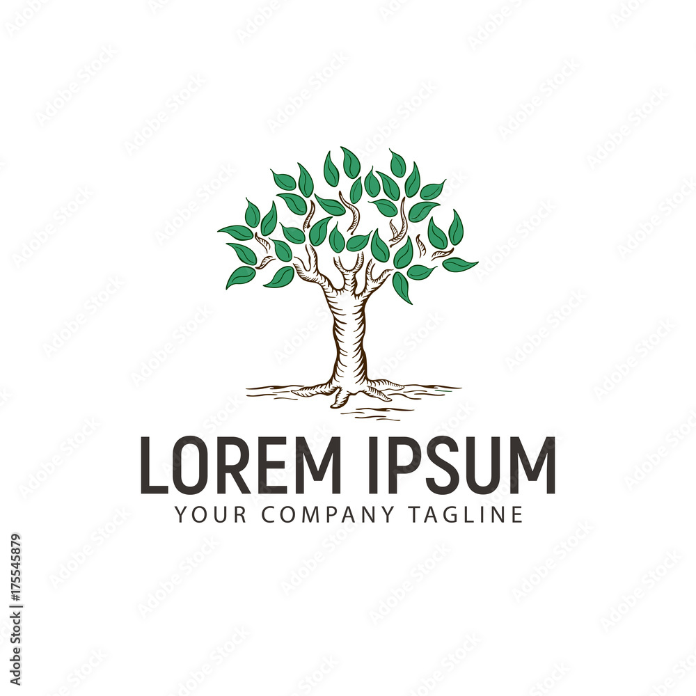 Obraz premium tree hand drawn logo design concept template
