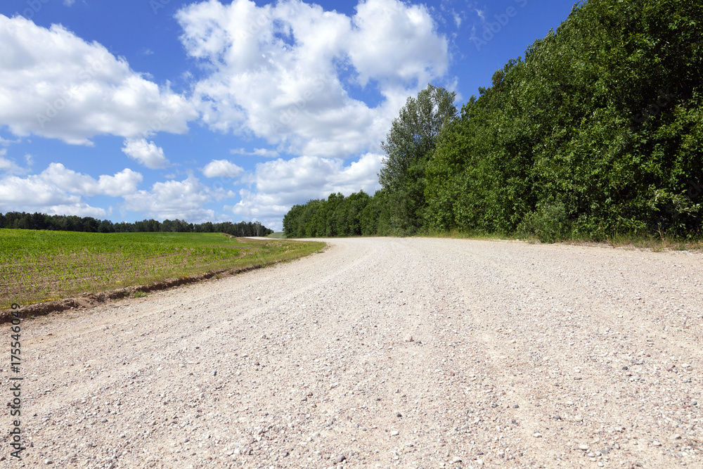 Fototapeta premium Sandy country road