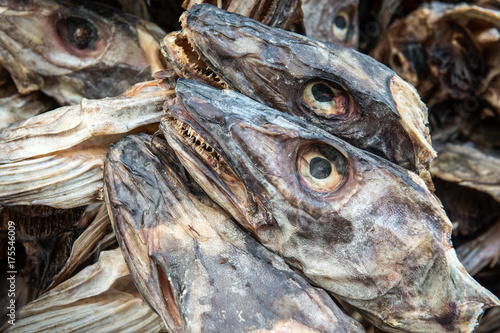 Norwegen, Troms, Lenvik, Getrocknete Köpfe vom Kabeljau werden vorrangig nach Afrika exportiert