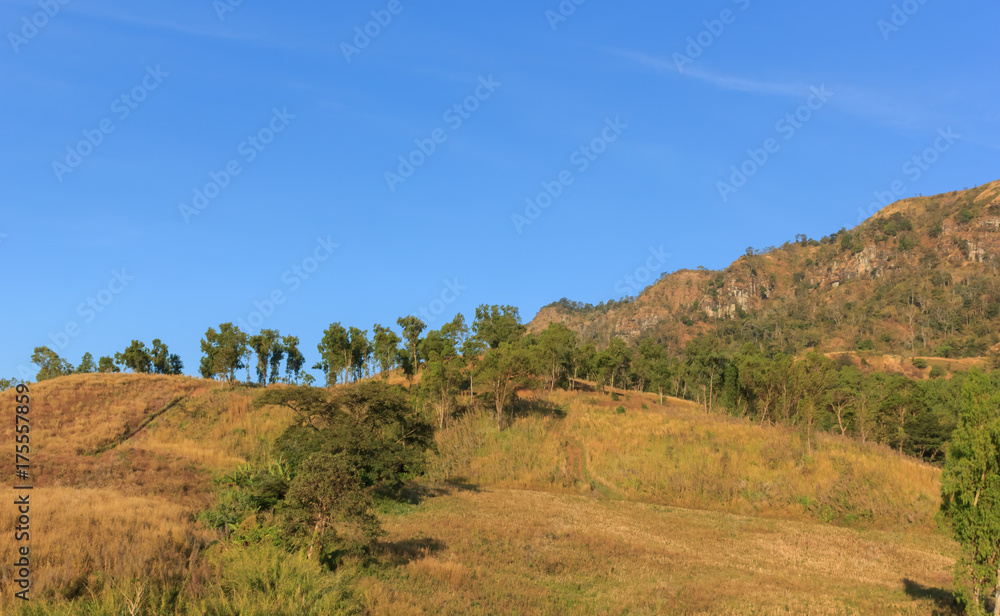 Beautiful scenery on the hilltop in Thailand.