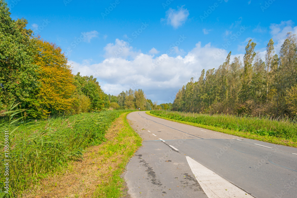 Road through the countryside in sunlight in autumn