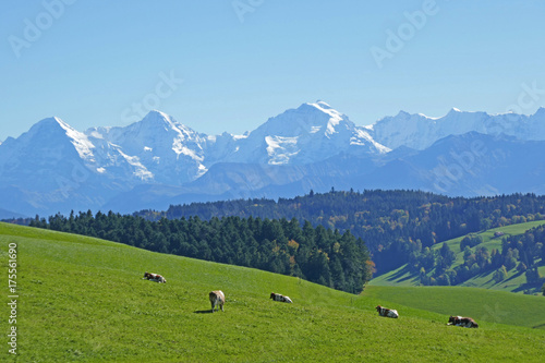 Aussicht von Oberbalm, Berner Alpen, Schweiz