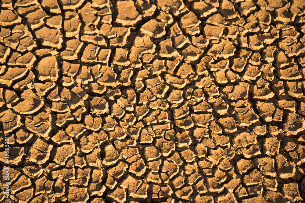 Naklejka premium dry water course, Warbutron catchment