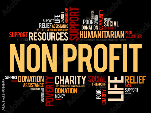 Non Profit word cloud concept