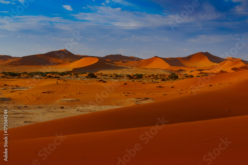 Contrasting Dune in the Afternoon Sun. Namibia Desert, Namibia © vaclav