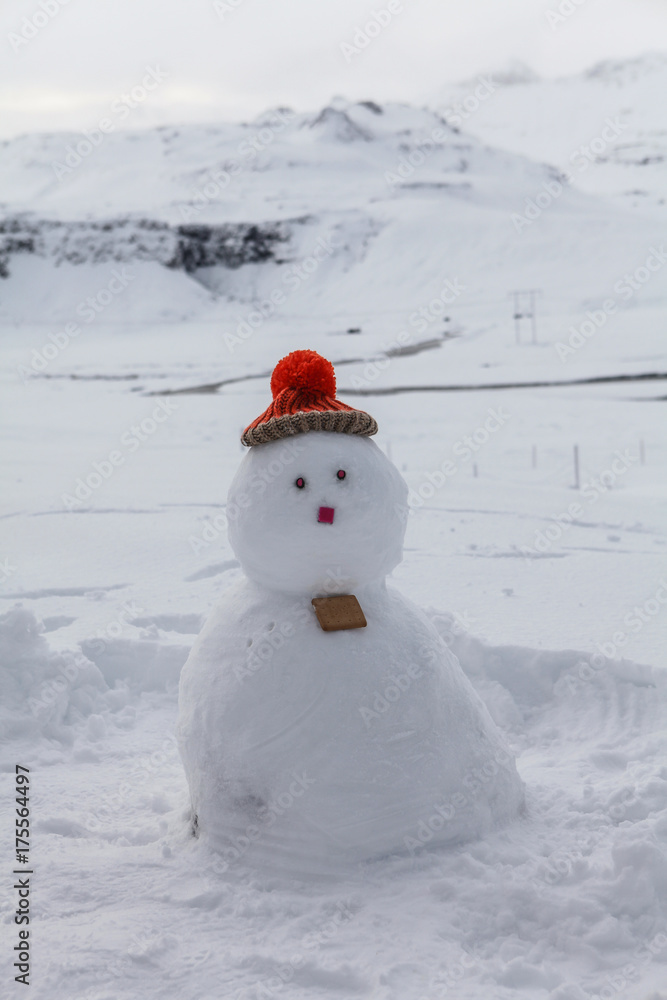 Obraz premium Snowman