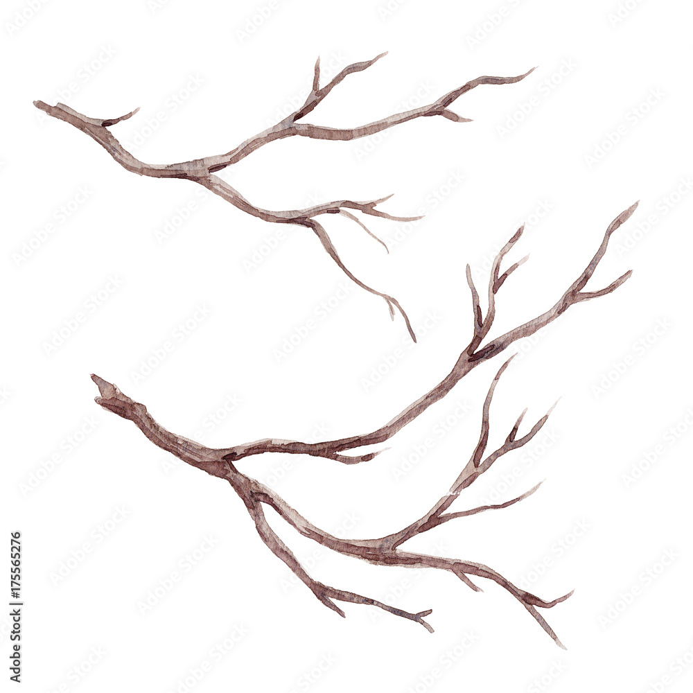 Watercolor fall tree branch - obrazy, fototapety, plakaty 
