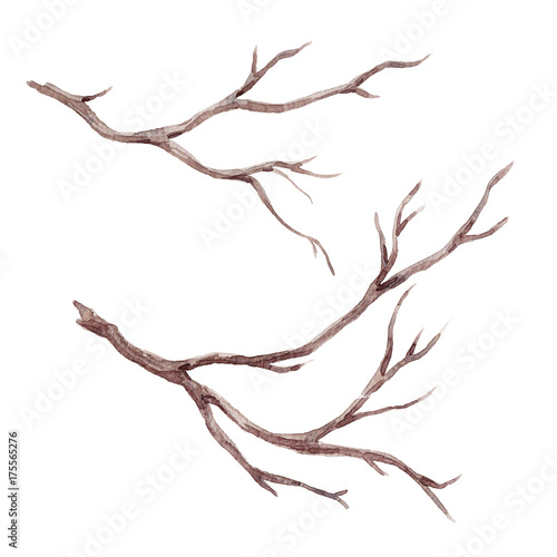 Fotografia, Obraz Watercolor fall tree branch