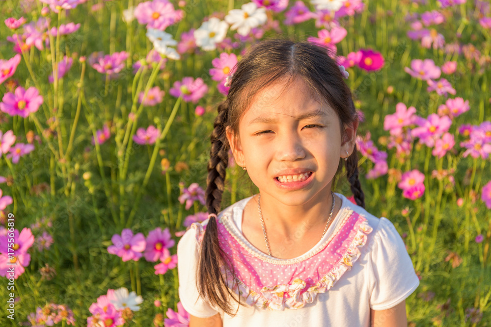 The little girl in the field of pink cosmos flower (Cosmos Bipinnatus) at sunlight in the morning The little girl in the field of pink cosmos flower (Cosmos Bipinnatus) at sunlight in the morning