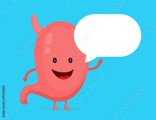 Strong healthy happy stomach character 
