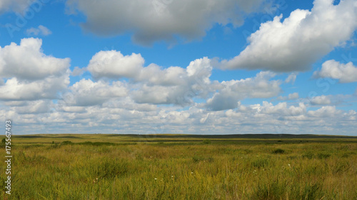 Green field summer landscape  timelapse. Clouds and blue sky field