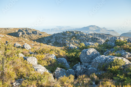 Südafrika im Frühling