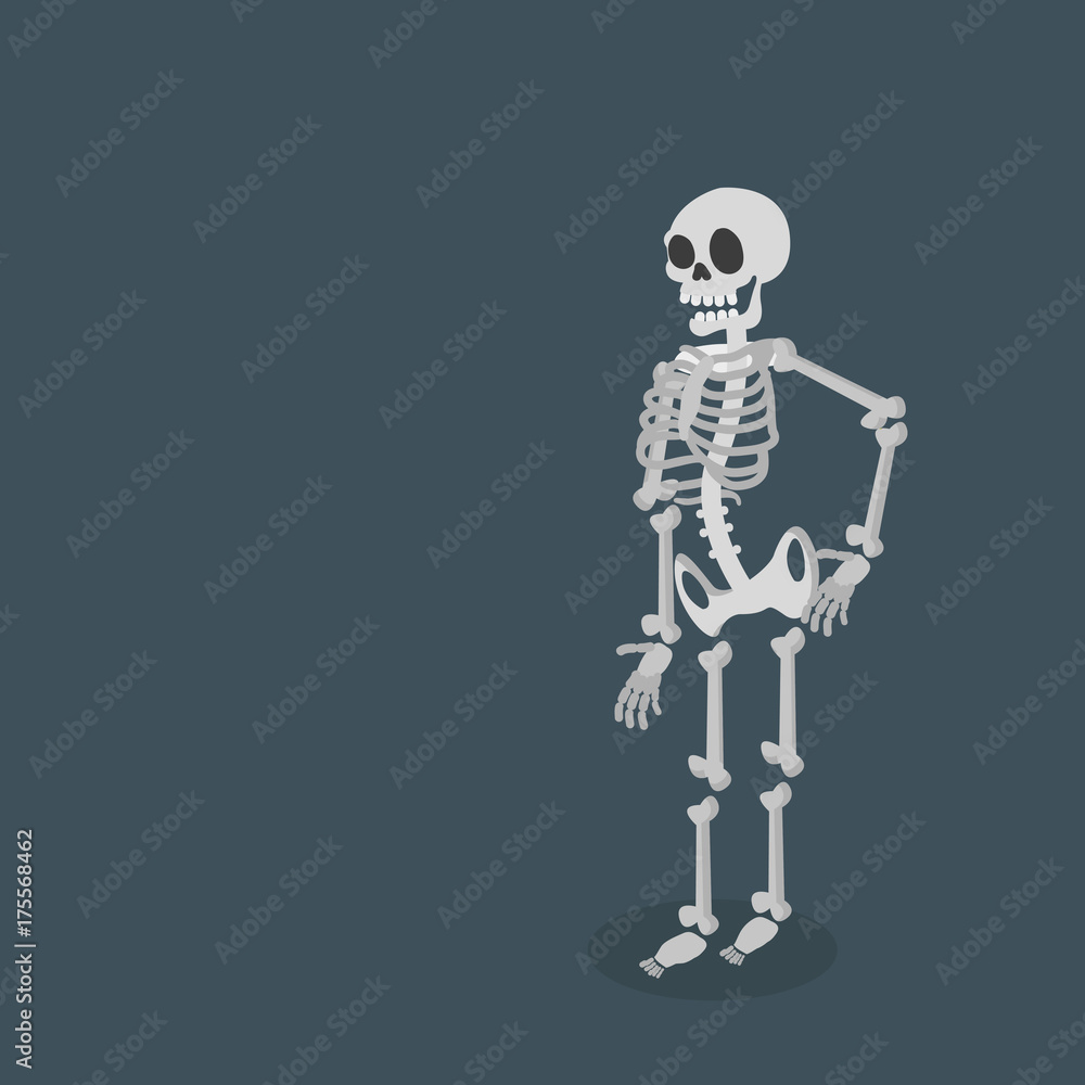 skeleton Vector flat skeleton Vector flat