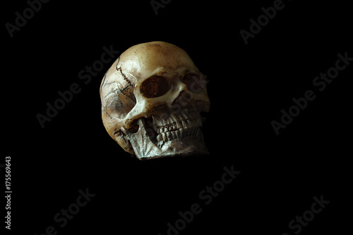 Low key image of skull model isolated on black background