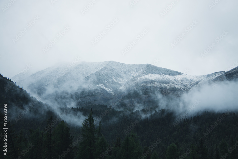 Trip to mountains of Siberia