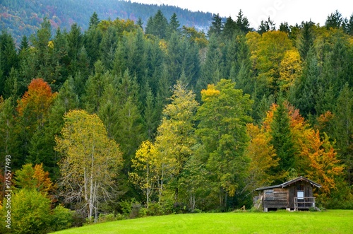 Autumn mountains and forest with isolated small wooden house cottage. Photo from Lofer area  Austrian Alps