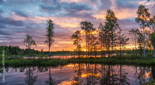 Sunrise in summer swampy forest