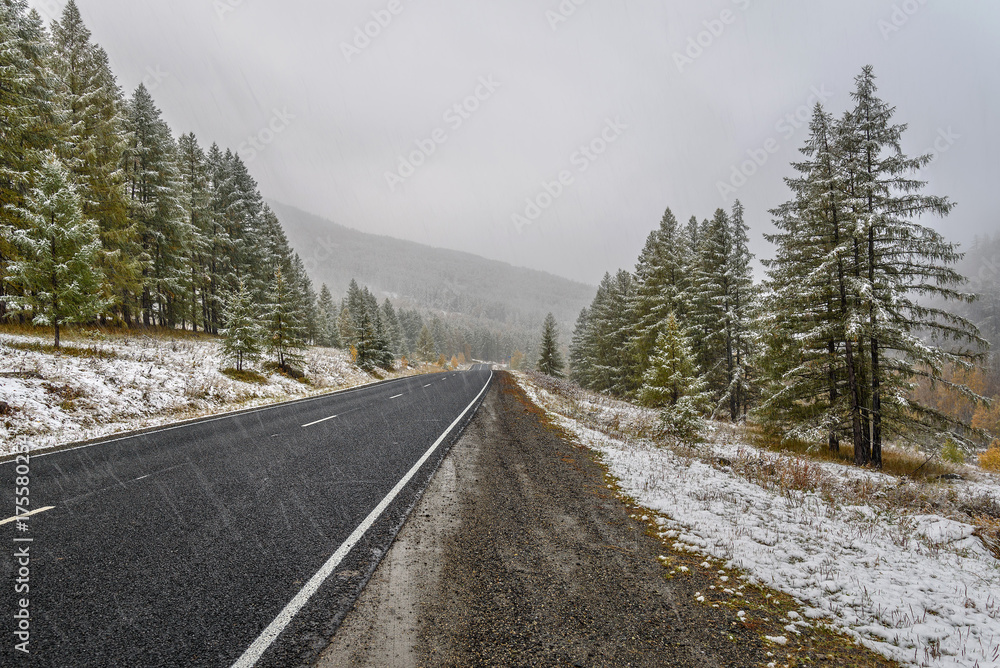 Fototapeta premium road asphalt snowfall forest fall
