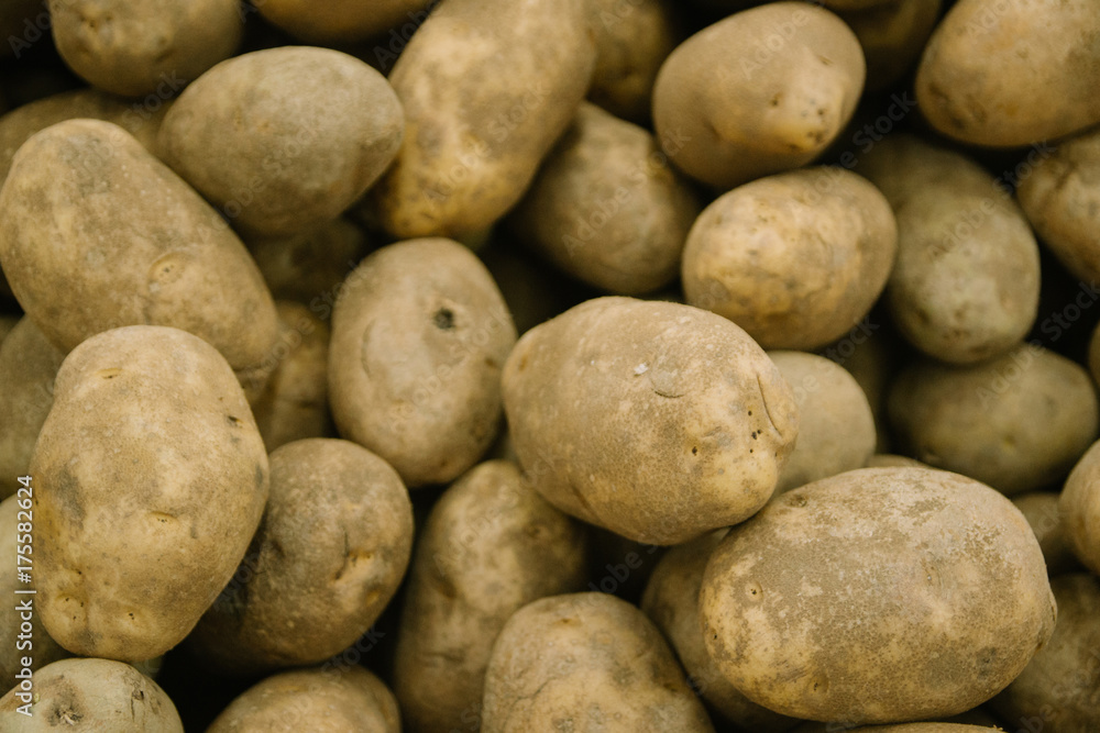 Selective focus, Piles of potatoes Selective focus, Piles of potatoes