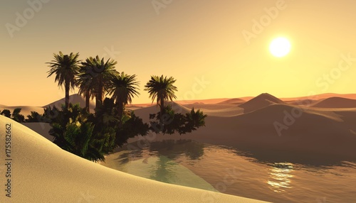 oasis in the sandy desert, sunset over the sands with palm trees and a lake
