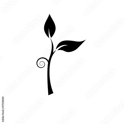 Sapling on the ground, Green Young tree, Plant sapling growing green with 2 leaves in black and white