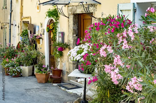Obraz Valensole na południu Francji