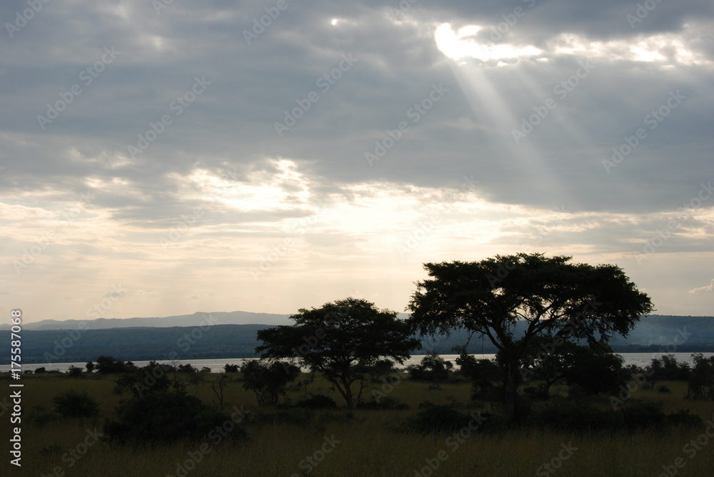 Fototapeta premium rayos de sol