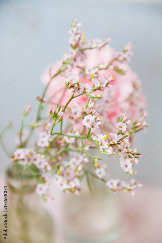 Obraz premium Little flower