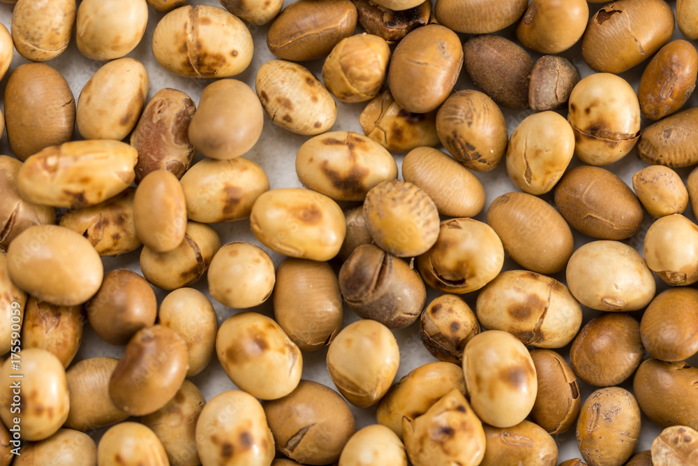 Closeup macro flat lay above soya beans background Closeup macro flat lay above soya beans background
