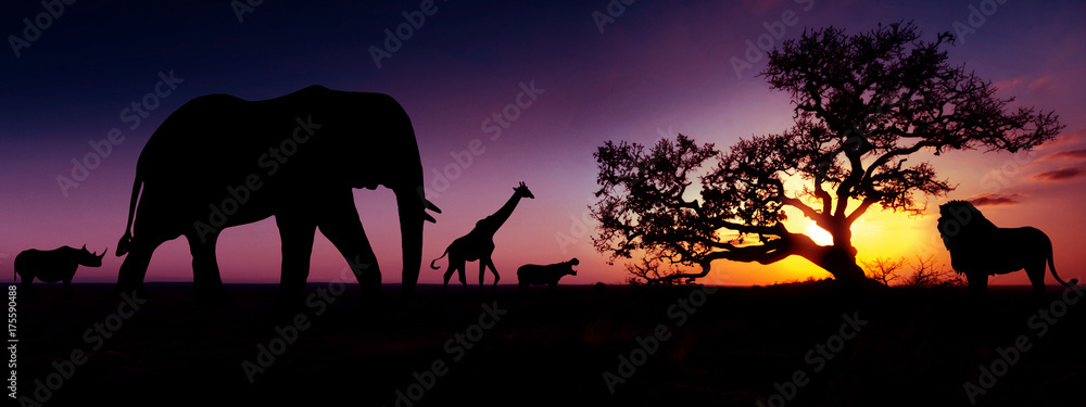 Naklejka premium Famous african animals sunset silhouettes