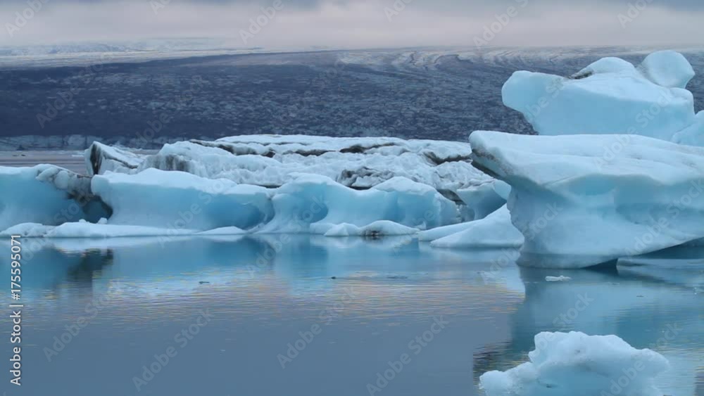 Glacier lagoon and seal in Iceland Glacier lagoon and seal in Iceland