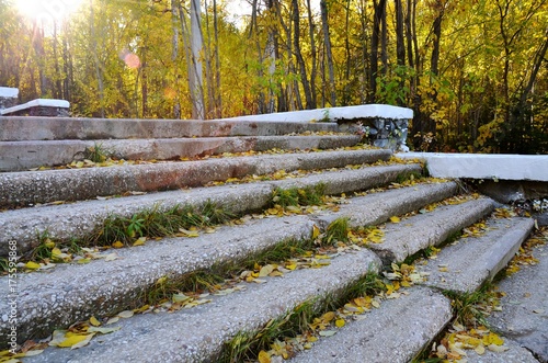 Rays of light make their way through the crowns of the trees of the city park and fall on the stone steps of the old staircase  strewn with yellow fallen leaves. Backlight